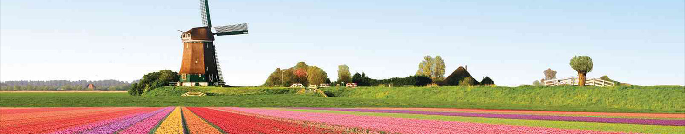 netherland